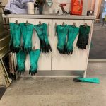 GLOVES