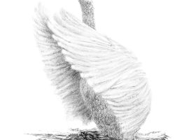 Standing Tweed Swan